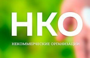 Единый региональный конкурс на предоставление субсидий НКО из краевого бюджета стартует на Камчатке