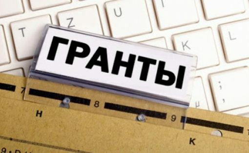 Почти 30 проектов подали НКО Камчатки на второй конкурс краевых грантов 